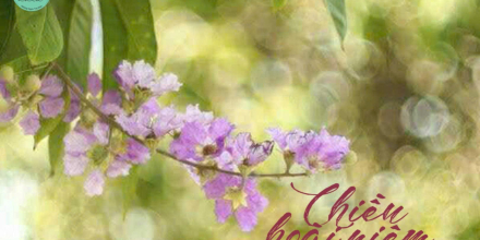 Thiết kế: Hồng Nhật - 📸: Sưu tầm