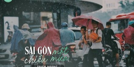 Thiết kế: Hồng Nhật - 📸: Sưu tầm