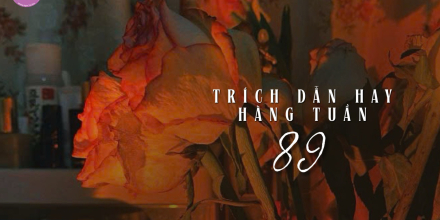 Thiết kế: Hồng Nhật - 📸: Sưu tầm