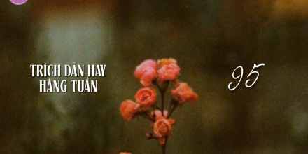 Thiết kế: Hồng Nhật - 📸: Sưu tầm