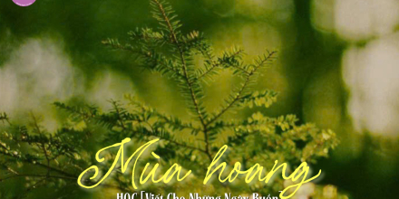 Thiết kế: Hồng Nhật - 📸: Sưu tầm