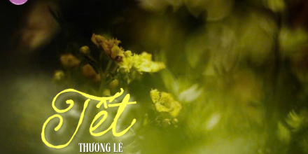 Thiết kế: Hồng Nhật - 📸: Sưu tầm