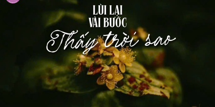 Thiết kế: Hồng Nhật - 📸: Sưu tầm