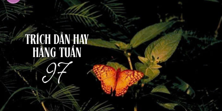 Thiết kế: Hồng Nhật - 📸: Sưu tầm