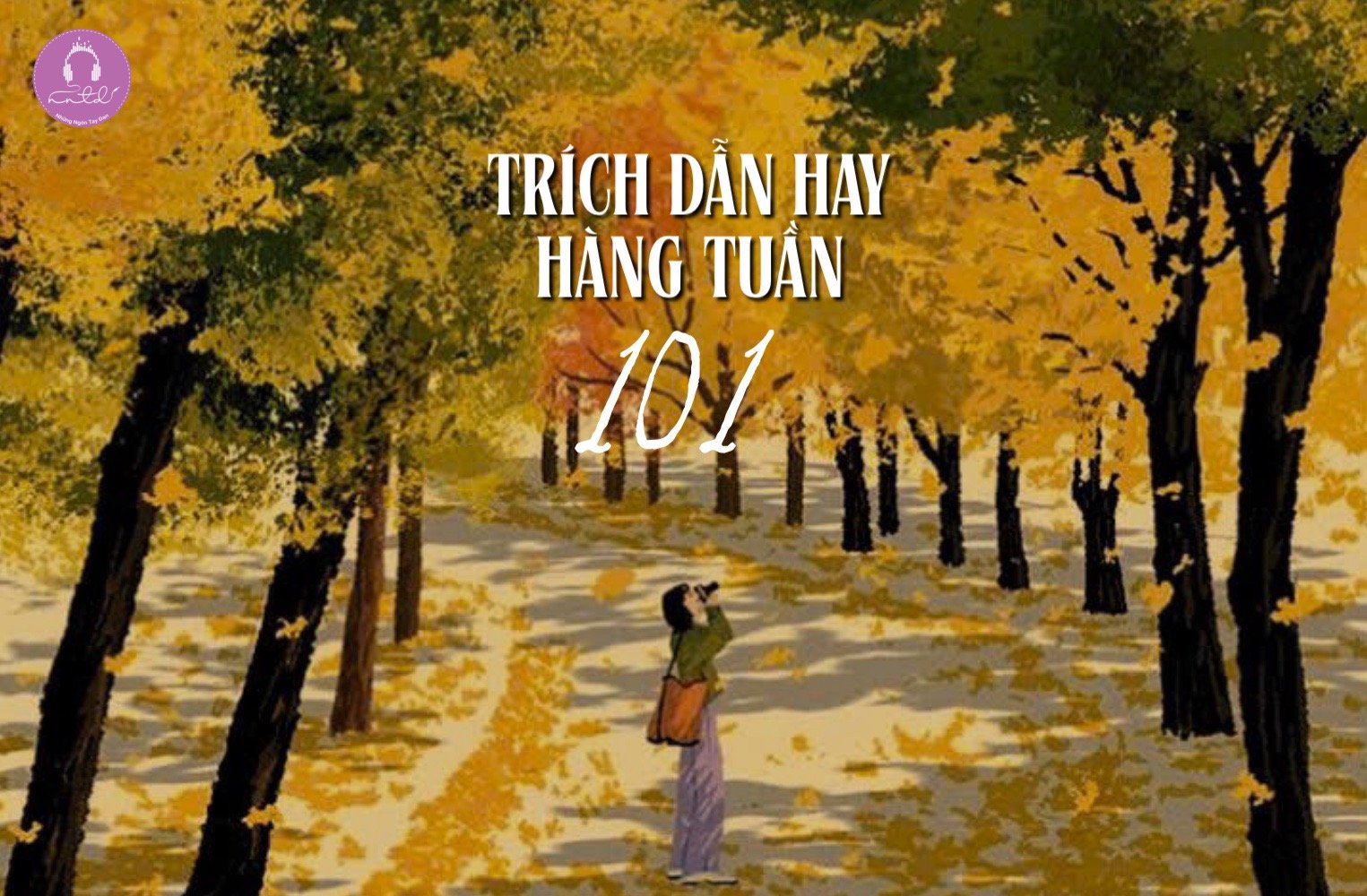 Thiết kế: Hồng Nhật - 📸: Sưu tầm