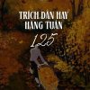 Thiết kế: Hồng Nhật - 📸: Sưu tầm